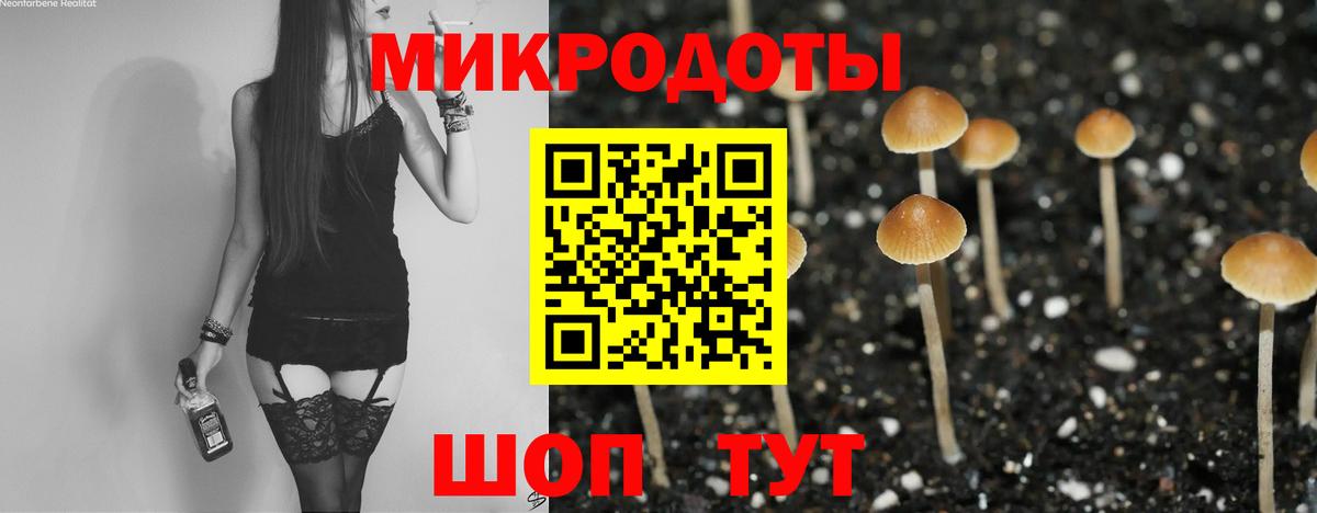 Новокубанск  Псилоцибиновые грибы ЛСД  Псилоцибиновые грибы Psilocybine cubensis  Вход с VPN 